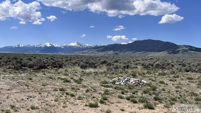 22 Sutton Lane, Leadore, ID 83464