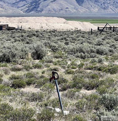 22 Sutton Lane, Leadore, ID 83464