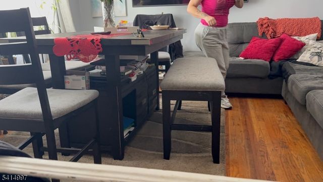 29 Brooklyn Mountain Rd, Hopatcong Boro, NJ 07843