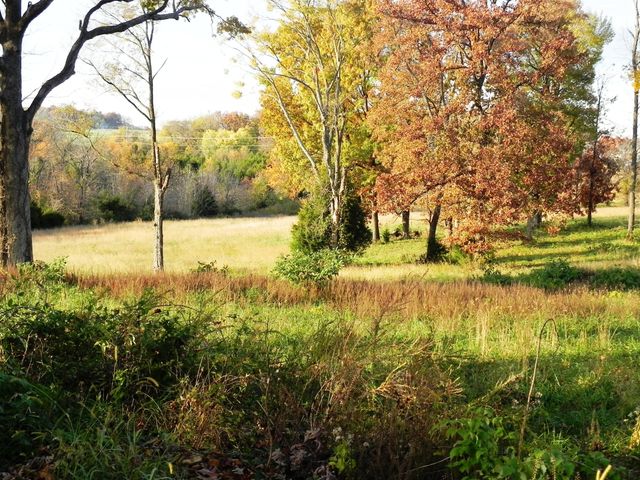 Tbd N 20th Street, Ozark, MO 65721