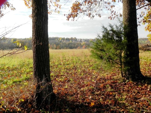 Tbd N 20th Street, Ozark, MO 65721