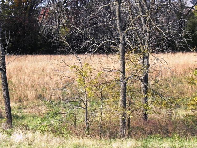 Tbd N 20th Street, Ozark, MO 65721