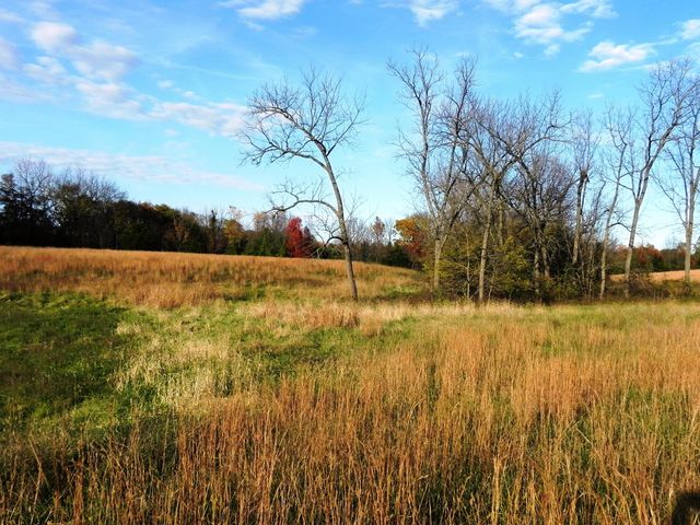 Tbd N 20th Street, Ozark, MO 65721