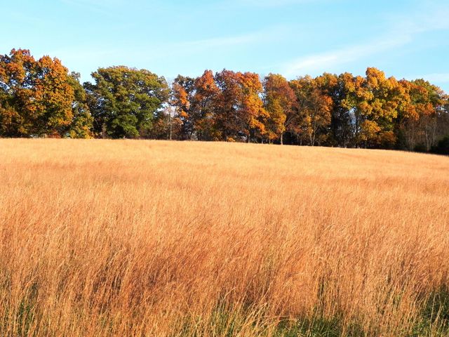 Tbd N 20th Street, Ozark, MO 65721