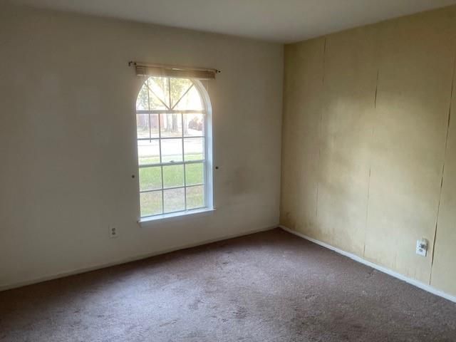 23021 Apple Arbor Drive, Spring, TX 77373