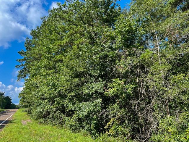 1 Fm 2939, Newton, TX 75966