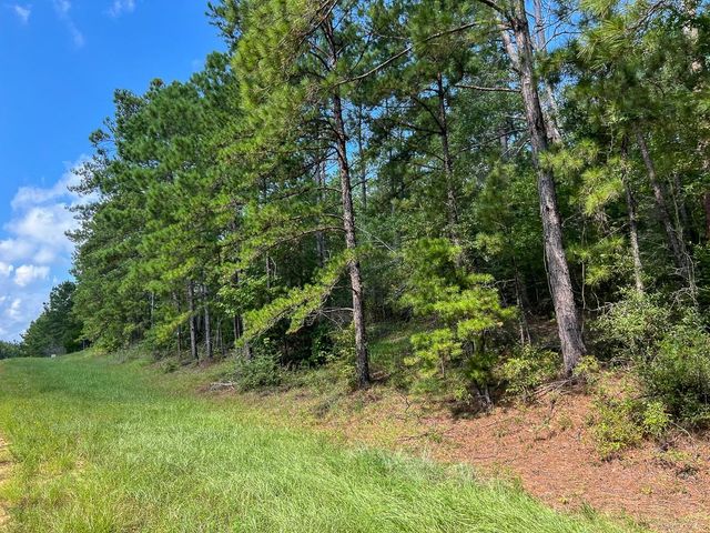 1 Fm 2939, Newton, TX 75966