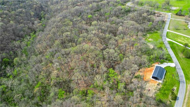 TBD Daisy Circle Spur Circle, Rogers, AR 72756