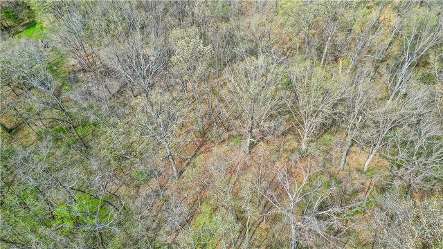 TBD Daisy Circle Spur Circle, Rogers, AR 72756