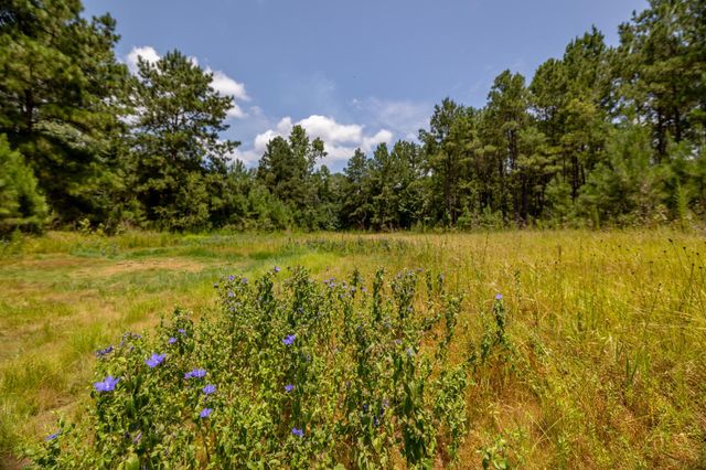 1255 Lee Turner Road Road, Cleveland, TX 77328