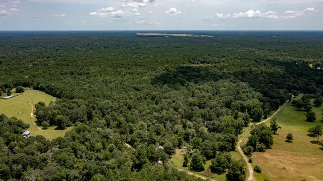 1255 Lee Turner Road Road, Cleveland, TX 77328