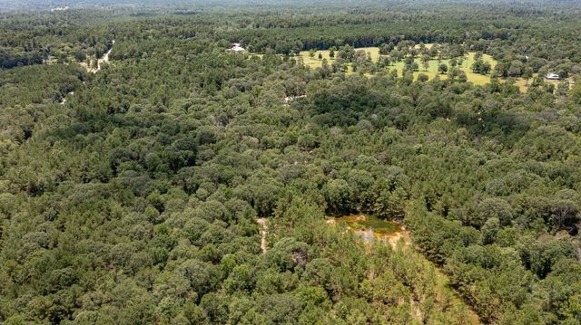 1255 Lee Turner Road Road, Cleveland, TX 77328