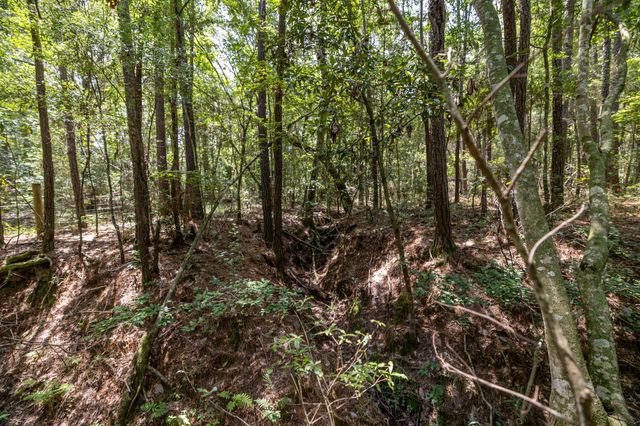 1255 Lee Turner Road Road, Cleveland, TX 77328