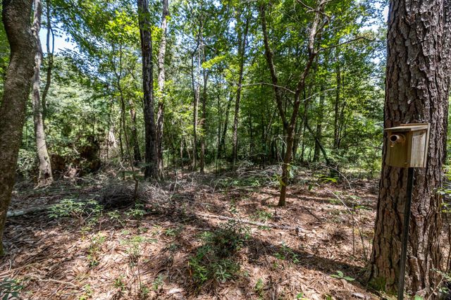 1255 Lee Turner Road Road, Cleveland, TX 77328