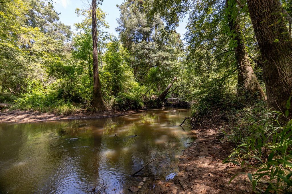 1255 Lee Turner Road Road, Cleveland, TX 77328