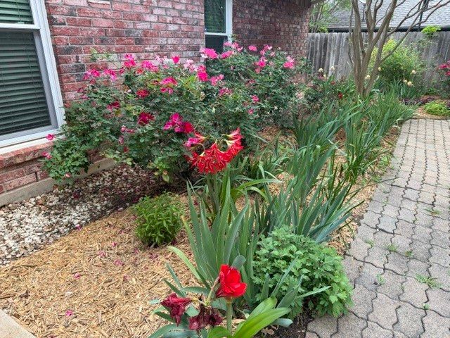 1321 Oak Harbor Boulevard, Azle, TX 76020
