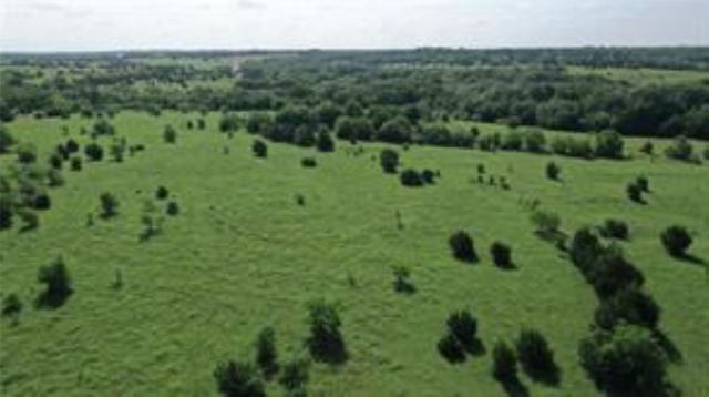 TBD 22.494 County Road 703, Farmersville, TX 75442