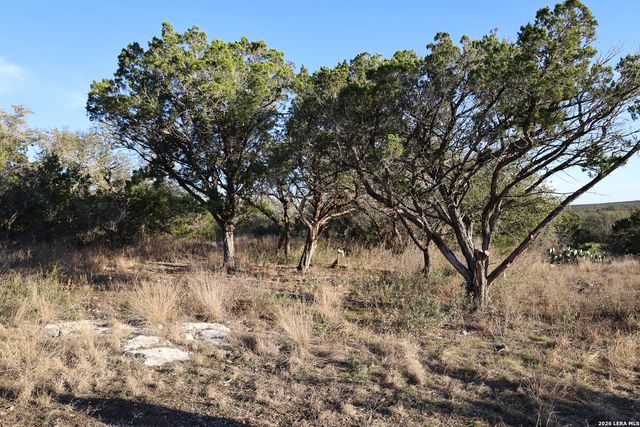 TBD County Road 241, Hondo, TX 78861