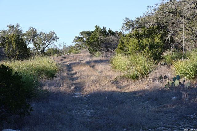 TBD County Road 241, Hondo, TX 78861