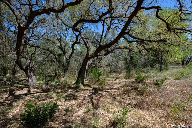 TBD County Road 241, Hondo, TX 78861