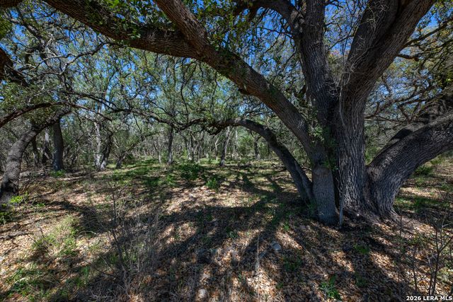 TBD County Road 241, Hondo, TX 78861