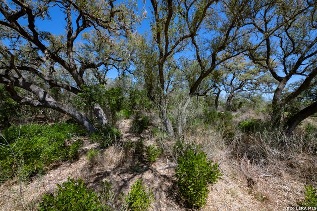 TBD County Road 241, Hondo, TX 78861
