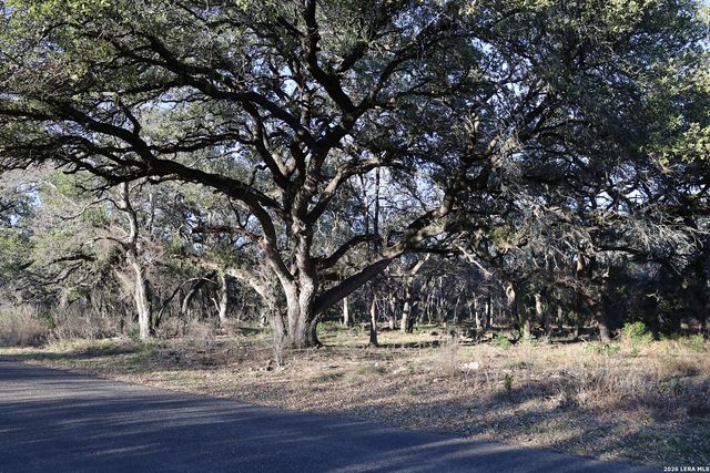 TBD County Road 241, Hondo, TX 78861