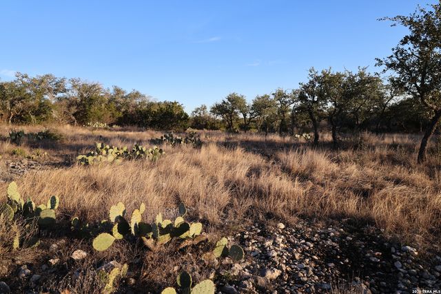 TBD County Road 241, Hondo, TX 78861