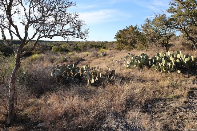 TBD County Road 241, Hondo, TX 78861