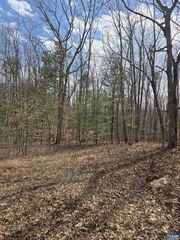 Lot 41B ED JONES RD, Scottsville, VA 24590