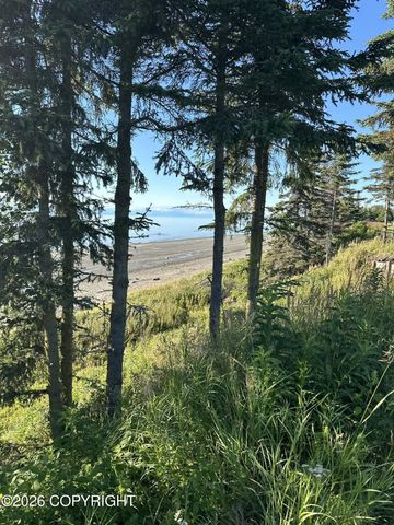 36995 Kalifornsky Beach Road, Kenai, AK 99611