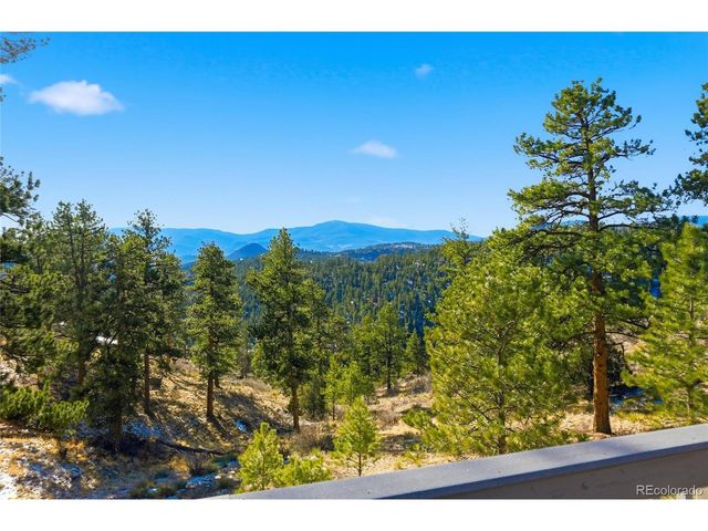 193 Long Ridge Dr, Bailey, CO 80421
