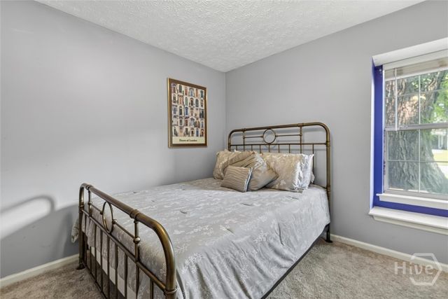 209 Rice Gate Drive, Richmond Hill, GA 31324