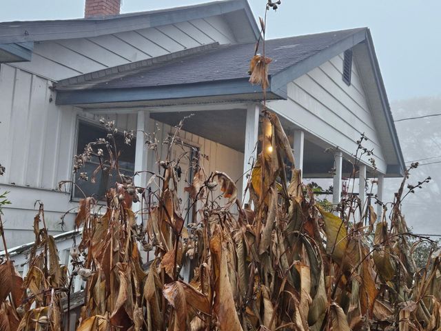 408 Chestnut Street, Lafayette, GA 30728