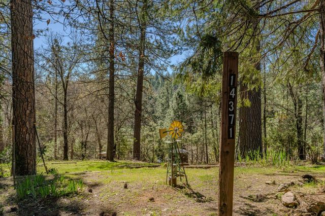 14371 Tobacco Rd, Pine Grove, CA 95665