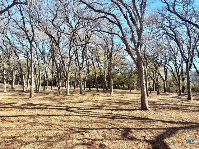 157 Cedar Mountain Road, Gatesville, TX 76528