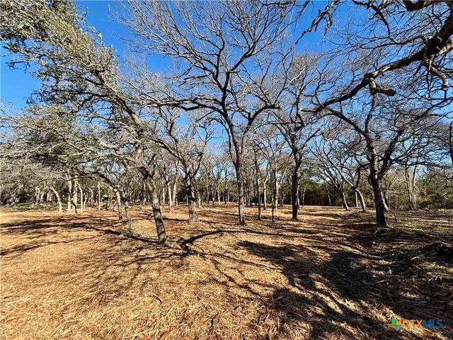 157 Cedar Mountain Road, Gatesville, TX 76528
