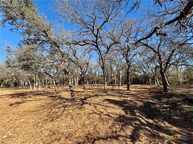 157 Cedar Mountain Road, Gatesville, TX 76528