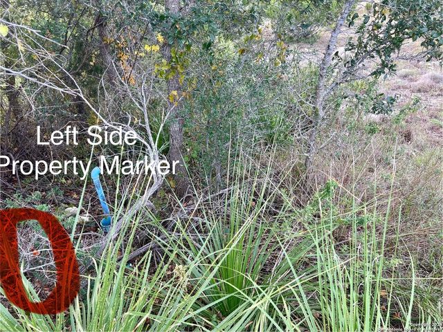 162 ZINNIA AVE, Spring Branch, TX 78070