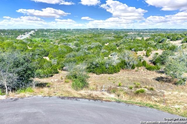 162 ZINNIA AVE, Spring Branch, TX 78070