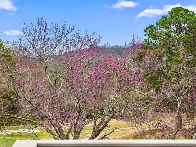 467 Wisley Way, Ringgold, GA 30736