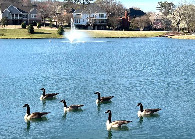 467 Wisley Way, Ringgold, GA 30736