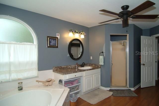 124 COUNTRY LAKES CIRCLE, Groveland, FL 34736