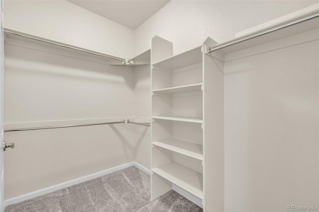 12665 Ulster Street, Thornton, CO 80602