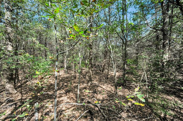 124 Summerall Lane, Red Oak, TX 75154