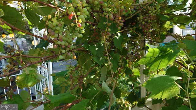 102 RAMBLER RD, Glenolden, PA 19036