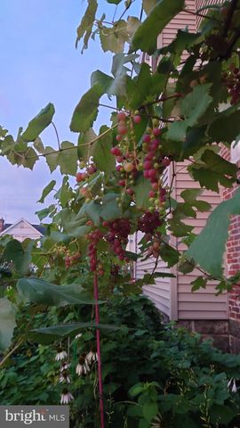 102 RAMBLER RD, Glenolden, PA 19036