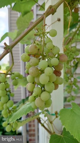 102 RAMBLER RD, Glenolden, PA 19036