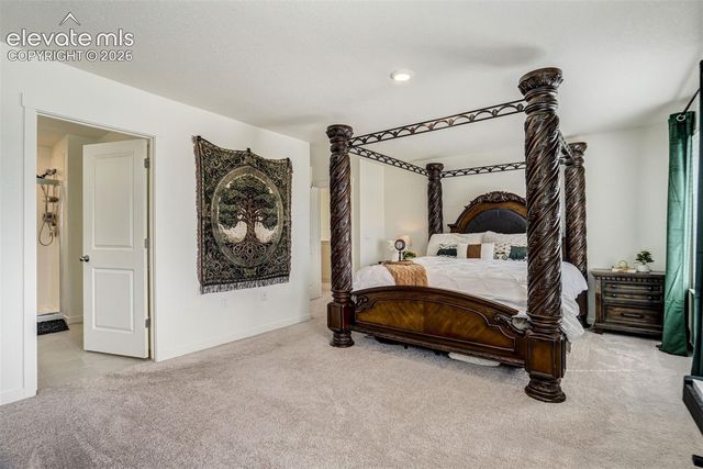 2110 Indian Balsam Drive, Monument, CO 80132