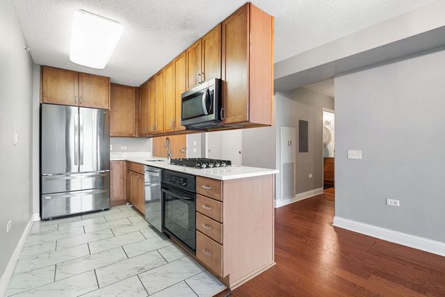 9655 Woods Drive 1709, Skokie, IL 60077